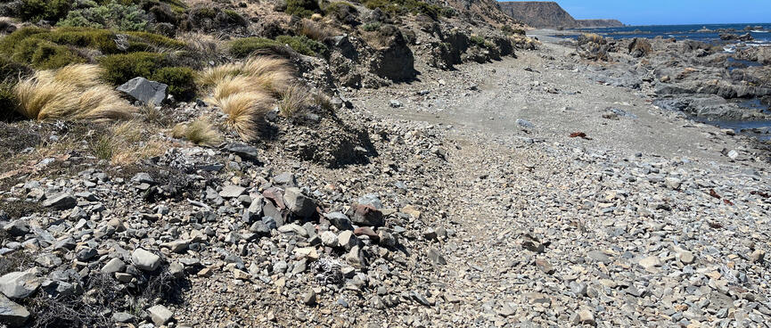 The road is pebbly, then firm sand, then firm sand with small rocks.