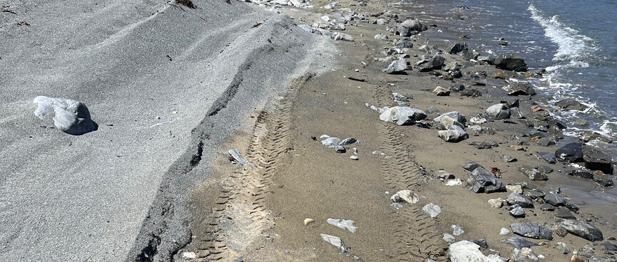 Tyre prints in the sand right next to the waterline.