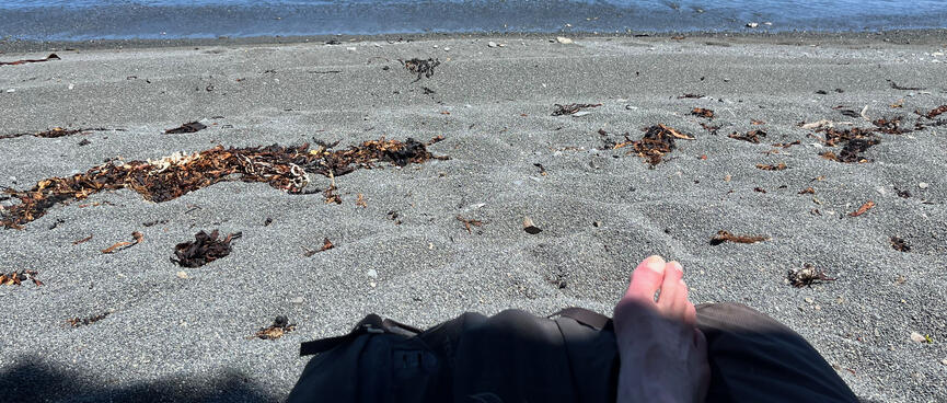 A shaded leg and the shingle beach and sea beyond.
