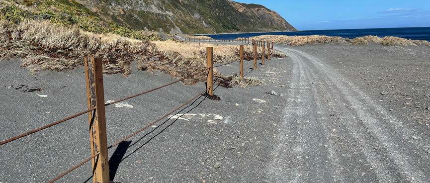 Iron fence posts and taut wire on the side of the coastal road.