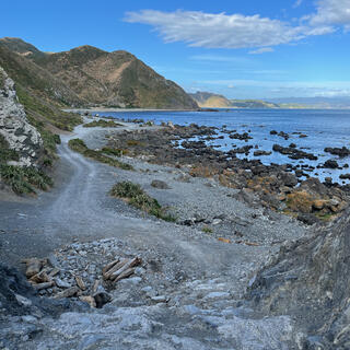 Looking down on the coastal road from an elevated position.