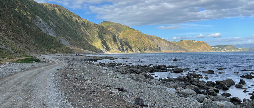 A shingle coastline and distant hills illuminated by the sun.