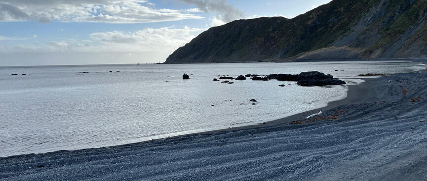 Grey clouds above a dark shingle beach and distant headland.
