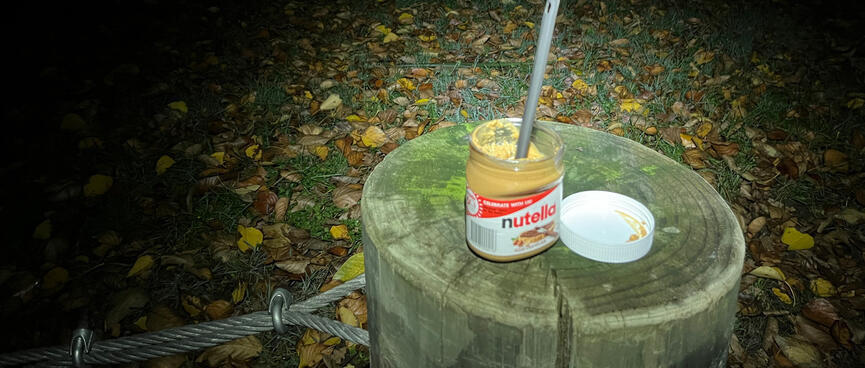 A tall camping spoon in a squat Nutella jar.