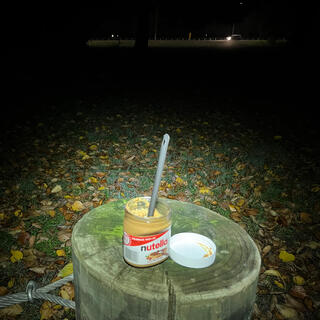 A tall camping spoon in a squat Nutella jar.