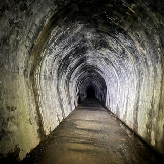 A narrow tunnel with a horseshoe shape.