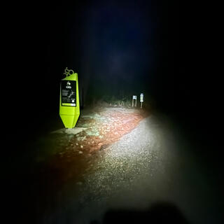 A tall green marker sign with a bicycle icon on top.