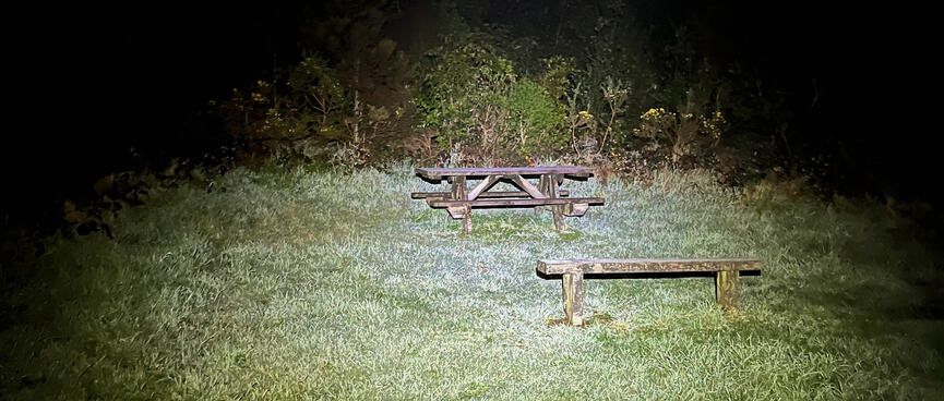A picnic table and a bench.