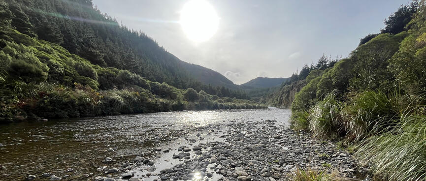 A bright sun above the glistening bush clad waters of the Pākuratahi River.