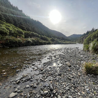 A bright sun above the glistening bush clad waters of the Pākuratahi River.