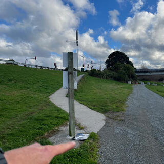 A cycleway sign lies on the ground next to a fork in the trail.