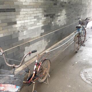 Two bikes are locked together with a long chain.