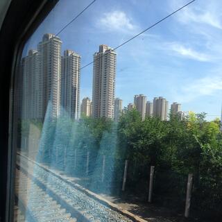 10 high rises buildings next to a grove of trees.