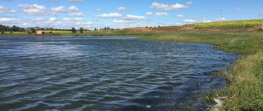 Small waves run in both directions, a foot apart.