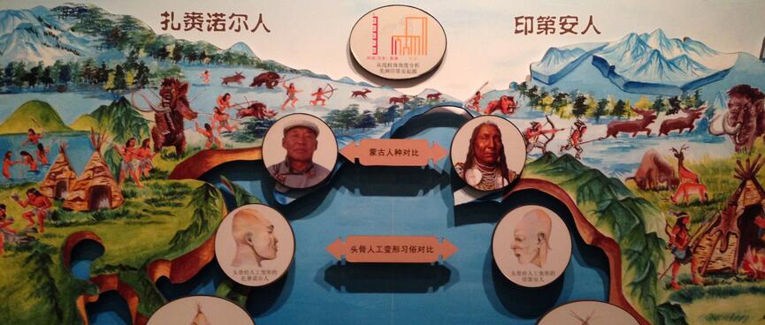 A wall display shows the key evolutionary steps in physical and material development.