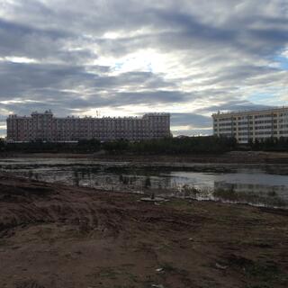 Large classical apartment blocks form a backdrop to muddy tyre tracks from two diggers.