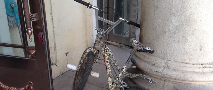 A stunt BMX is painted with spots and a cheetah.