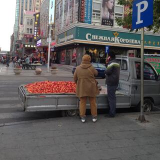 The flat deck of a small ute is covered in red apples.