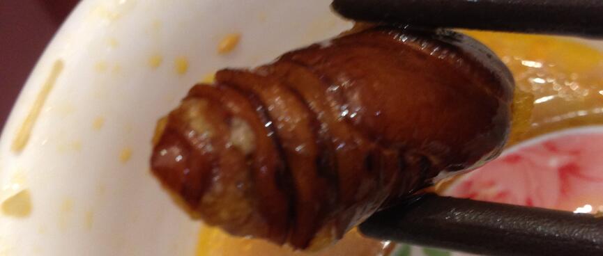 The dark body of a fried caterpiller.