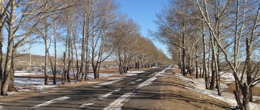 A country road flanked by leafless trees.