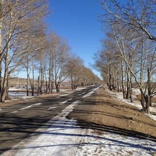 A country road flanked by leafless trees.
