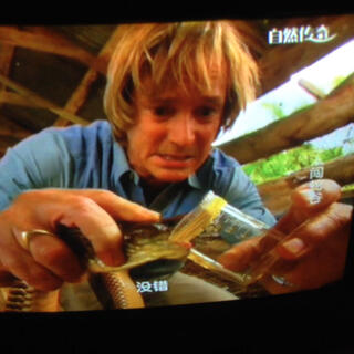 A man holds a snakeʼs head up to a glass beaker.