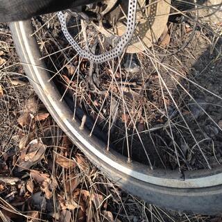 The tyre is compressed against the rim of my rear wheel.