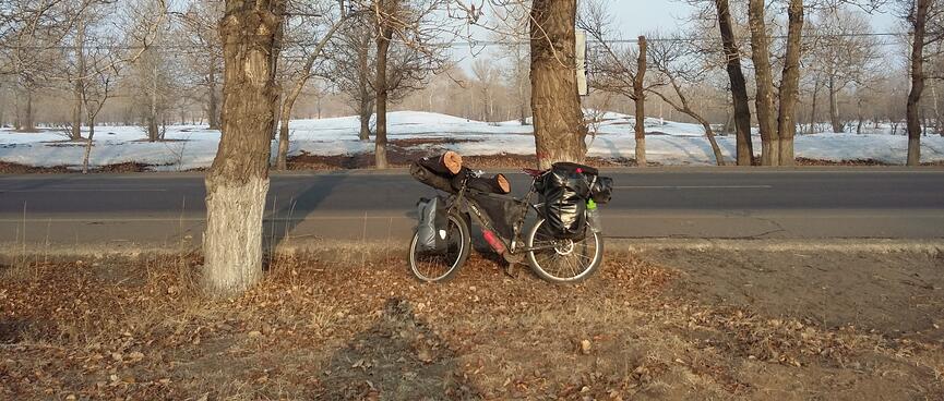 My Surly Troll leans up agains a tree, while snow covers the ground on the other side of the road.