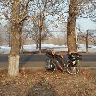 My Surly Troll leans up agains a tree, while snow covers the ground on the other side of the road.