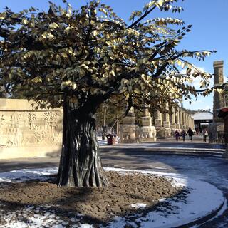 Pictures of trees are carved into a sandstone while a real or life-size tree stands nearby.