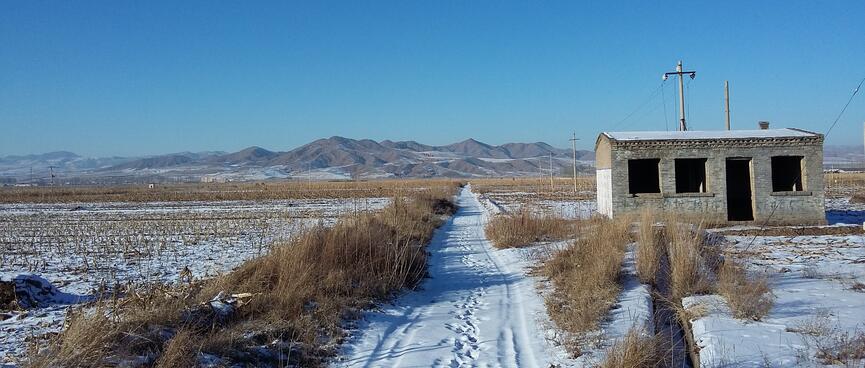 Sets of footprint and tyre tracks mark a path which extends past a derelict shed on its way to the mountains.