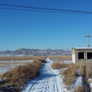Sets of footprint and tyre tracks mark a path which extends past a derelict shed on its way to the mountains.