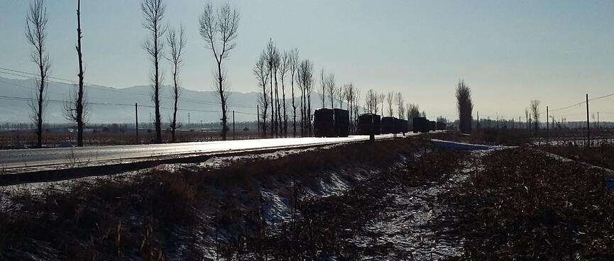 The sun shines over fields heavy in snow, covering the bare branches of plants.