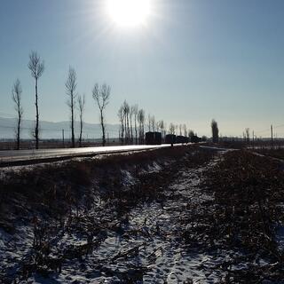The sun shines over fields heavy in snow, covering the bare branches of plants.
