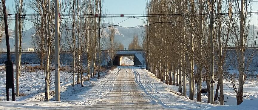 Trees flank a driveway which extends to a subway, behind which stand tall mountains.