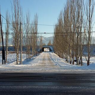 Trees flank a driveway which extends to a subway, behind which stand tall mountains.