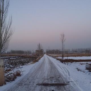 A snowy road extends into a beautiful sunset.