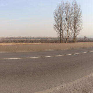 An empty road next to golden fields, with trees and mountains in the distance under a yellowy haze.