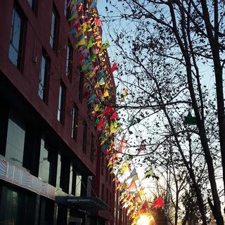 Green, blue, pink, red and yellow flags hang from cables running from the top of a building to the ground.