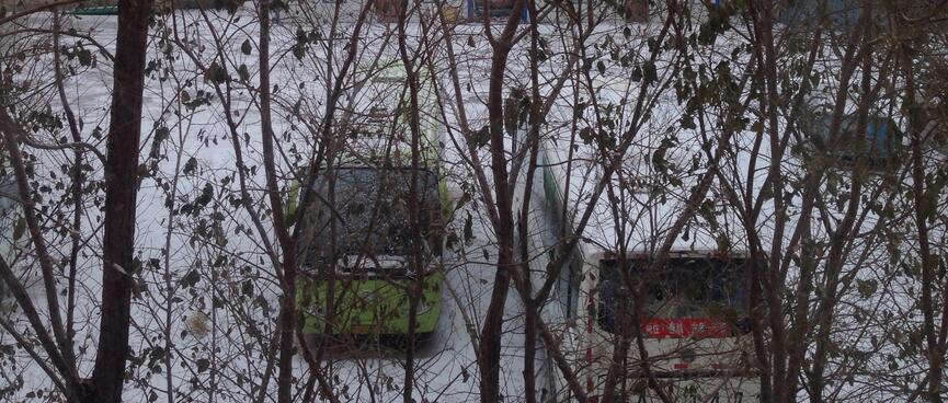Looking down on two tour buses parked behind trees.