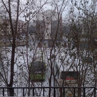 Looking down on two tour buses parked behind trees.