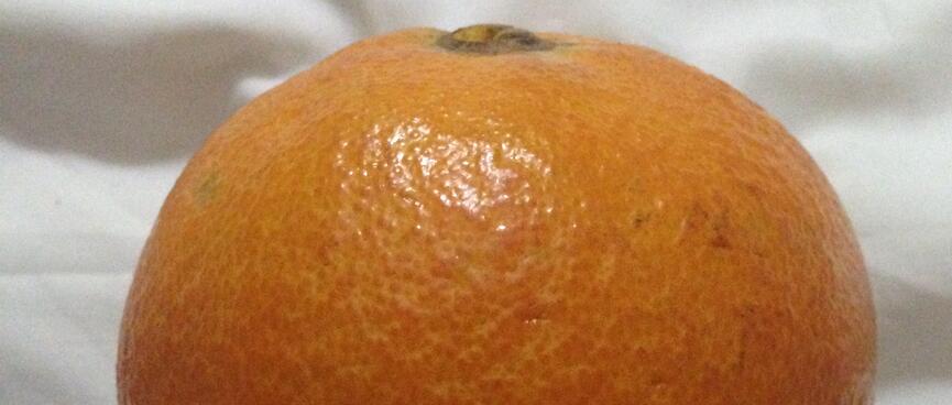 A round orange on a white sheet.
