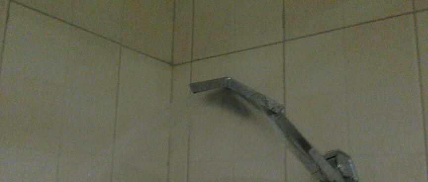 Water sprays from a shower head.