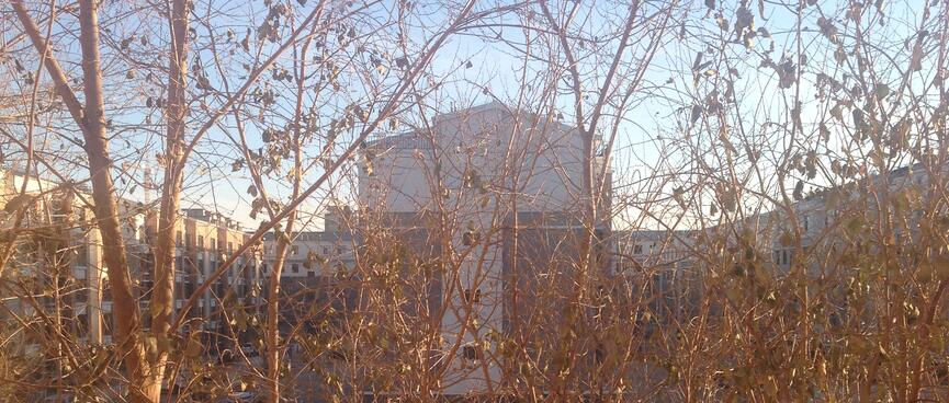 Blue skies above the bus car park in front of my window.