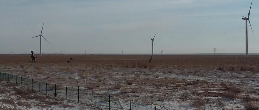 A few dinosaur statues and windmills in otherwise barren fields.