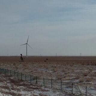 A few dinosaur statues and windmills in otherwise barren fields.