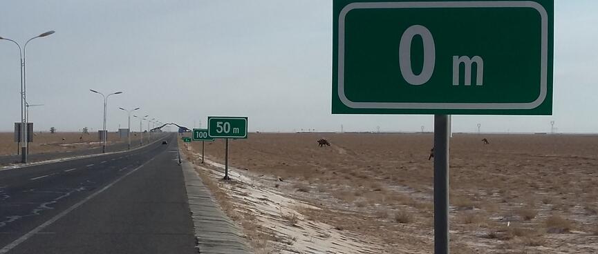 Road signs measure the distance to dinoaur sculptures in increments of 50m.