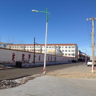 Vertical Mongol script on a long wall.