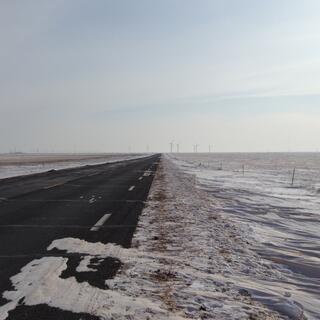 A snow lined road and in the distance clusters of windmills.