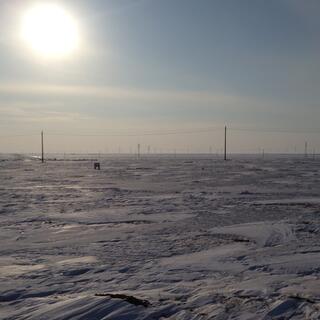Power pylons in a field and windmills on the distant horizon.